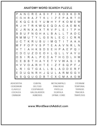 Anatomy Printable Word Search Puzzle
