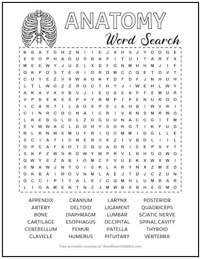 Anatomy Printable Word Search