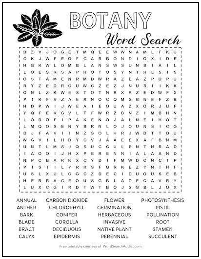 Botany Printable Word Search