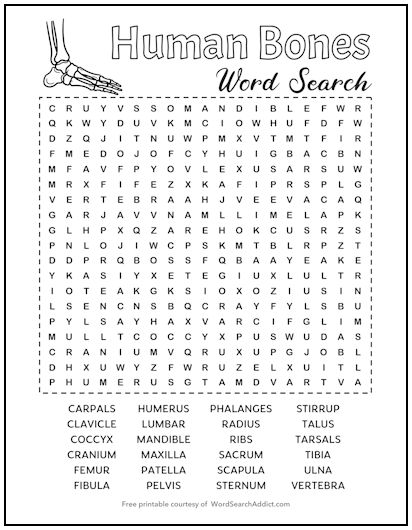 Human Bones Printable Word Search